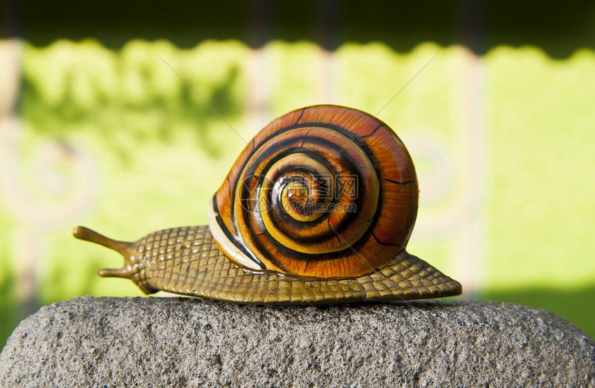 蜗牛游戏主机保修