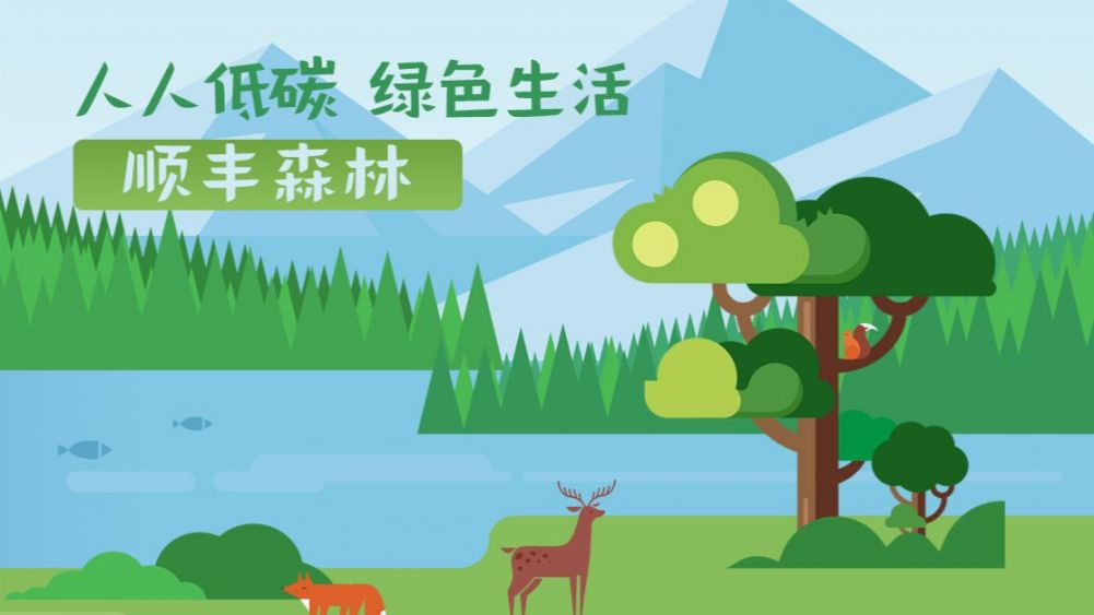 顺网森林主机