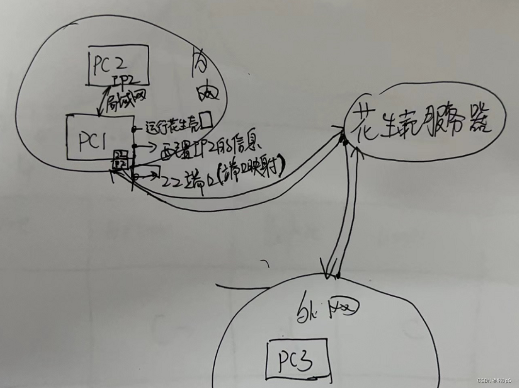 花生壳的内网主机